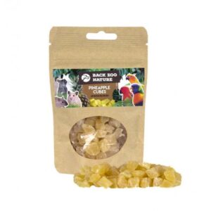 Cubes d'ananas- Back zoo nature