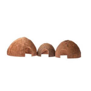 Set de 3 noix de coco - Back zoo nature