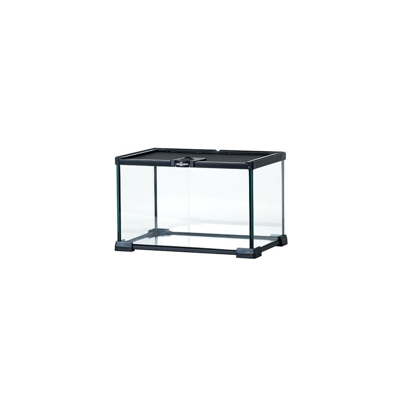 terrarium-en-verre-petites-tailles-reptizoo
