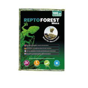 Mousse de forêt - Repto