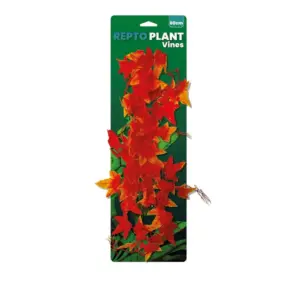 Repto plante vignes Orange Hedera 60cm