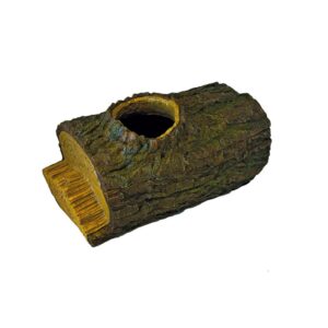 Trunk cave - Repto