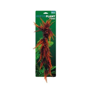 Repto plante vignes Orange Fougère 60cm