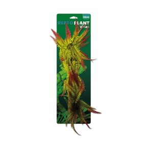 Repto plante vignes Fougère rouge/vert 60cm