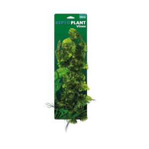 Repto plante vignes Monstera 60cm