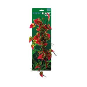 Repto plante vignes Rose/vert syngonium 60cm