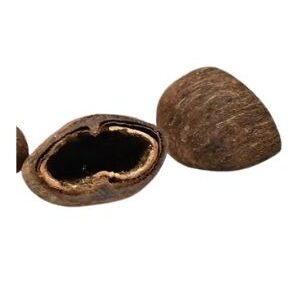 Palm pod half