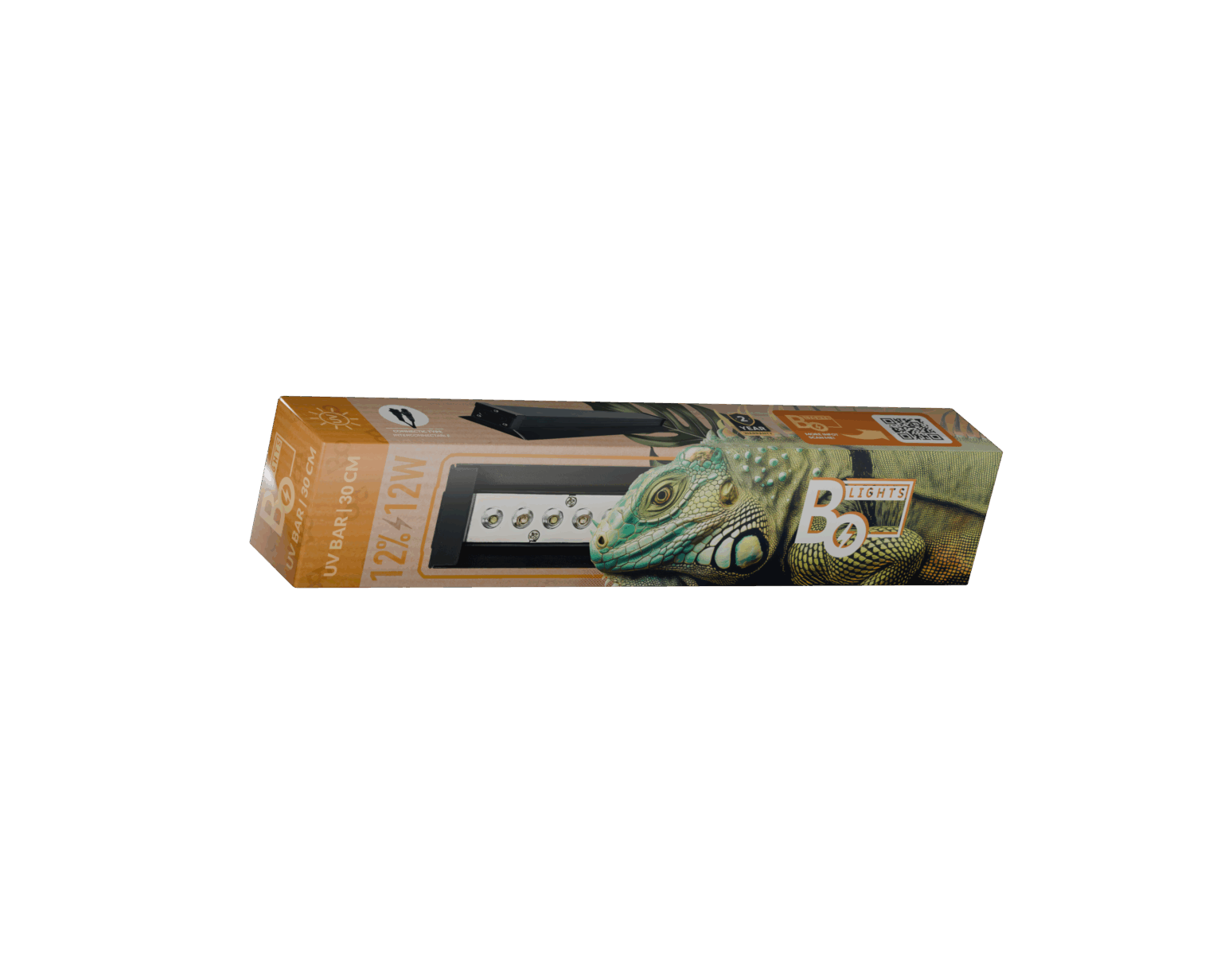 12�_12W-1024x576