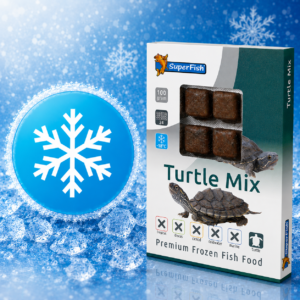 Mix tortue