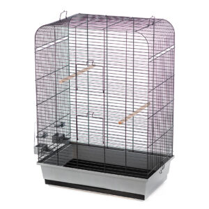 Cage Nina