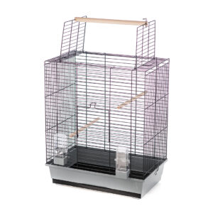 Cage Ara