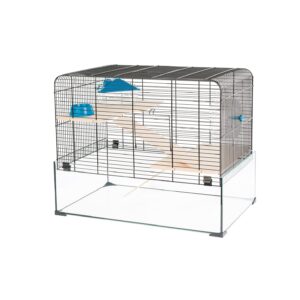 Cage Glassy glenn