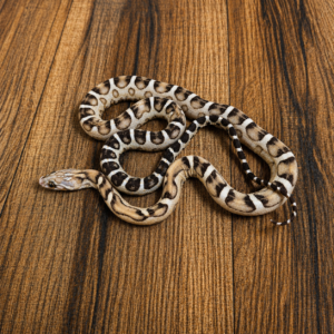 Caramel het amela/ultra