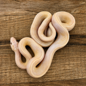 Butter het hypo