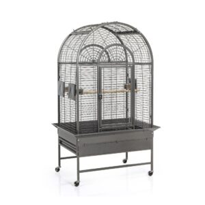 Cage New jersey
