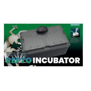 Incubateur - Repto