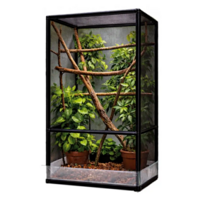 Terra air - Repto