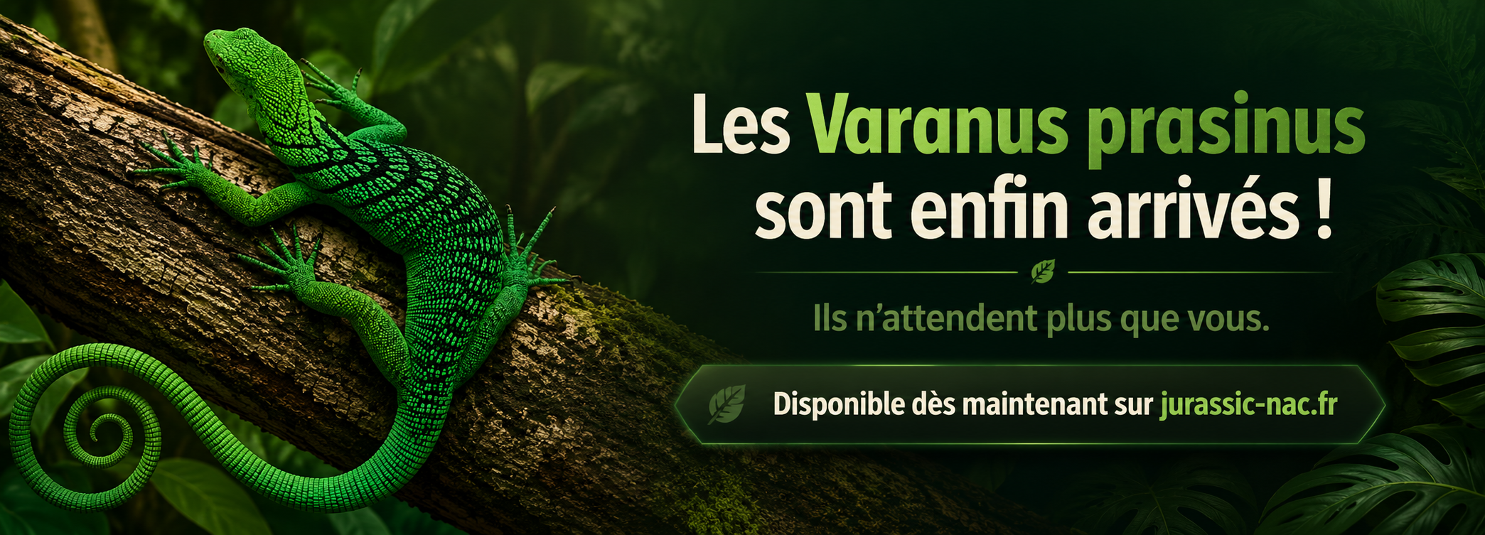 varinus